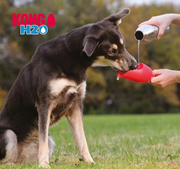 Trinkflasche für Hunde Edelstahl