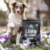 Softfutter für Hunde Lamm