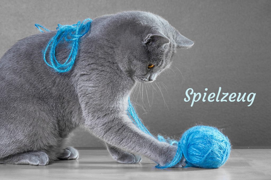 Katzenspielzeug bei allypet.de
