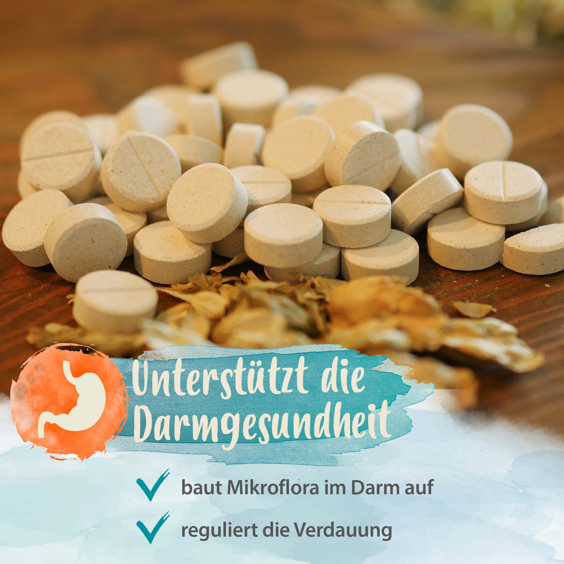 IdaPlus Darmbiotic Tabletten für regulierte Verdauung 180g