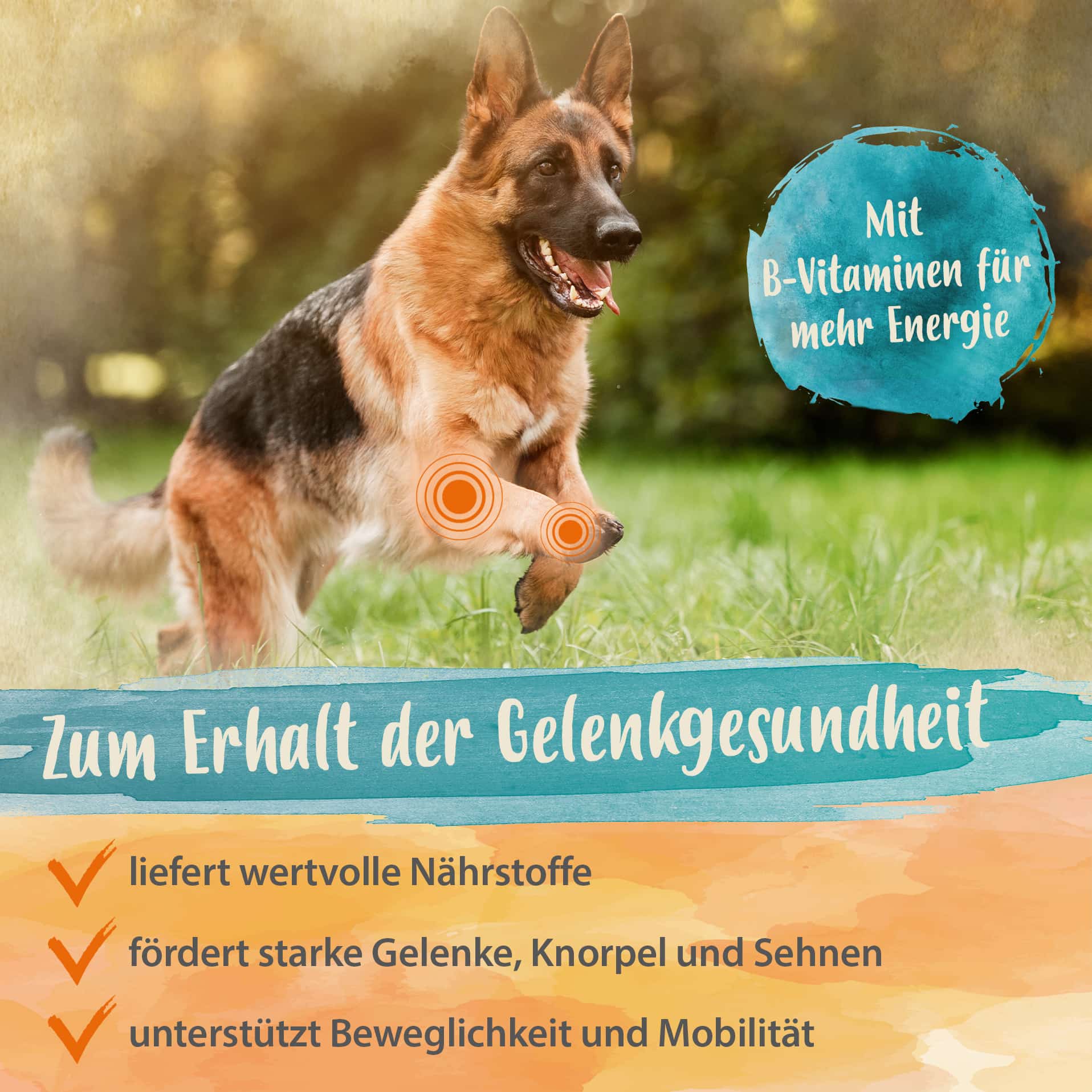 IdaPlus Gelenktabletten für Hunde